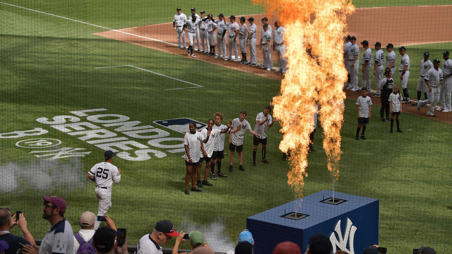 历了多年的 历了多年的