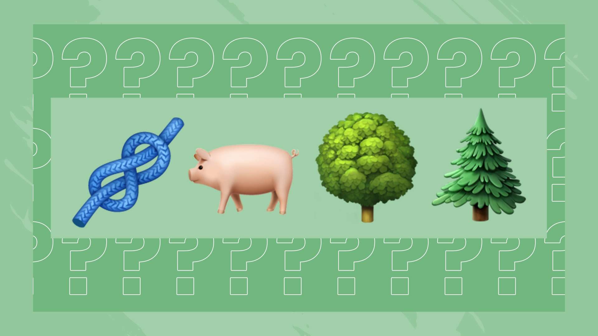 诸多发展机 诸多发展机